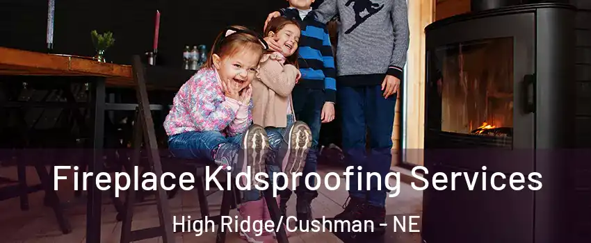 Fireplace Kidsproofing Services High Ridge/Cushman - NE