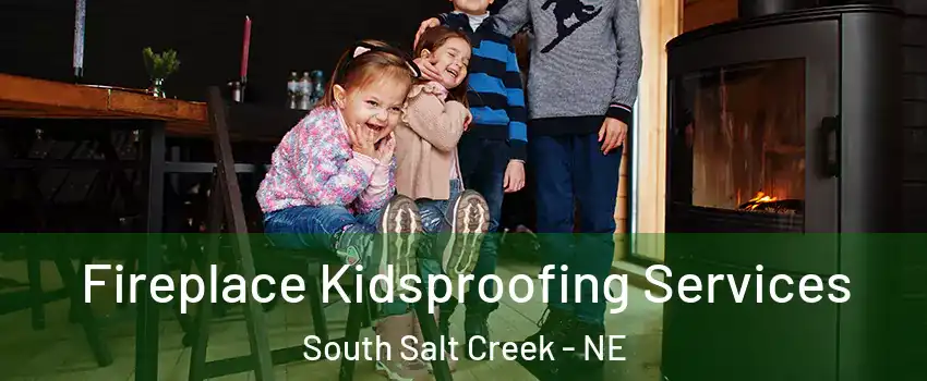 Fireplace Kidsproofing Services South Salt Creek - NE