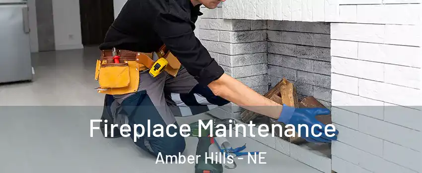 Fireplace Maintenance Amber Hills - NE