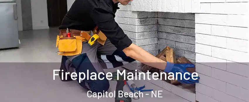 Fireplace Maintenance Capitol Beach - NE