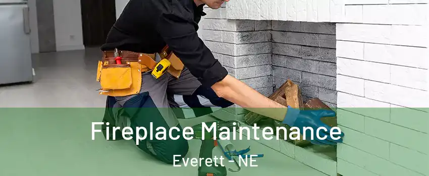 Fireplace Maintenance Everett - NE