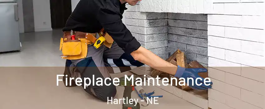 Fireplace Maintenance Hartley - NE