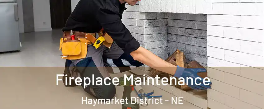 Fireplace Maintenance Haymarket District - NE