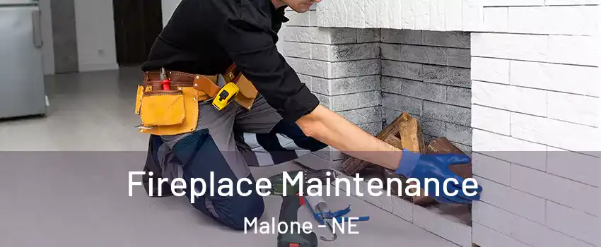 Fireplace Maintenance Malone - NE