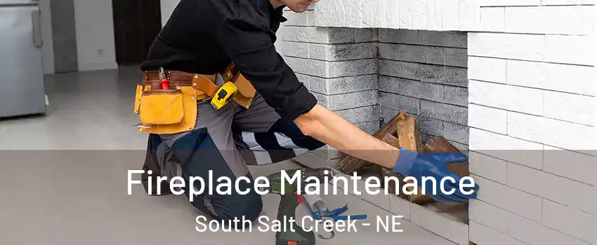 Fireplace Maintenance South Salt Creek - NE