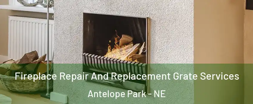 Fireplace Repair And Replacement Grate Services Antelope Park - NE