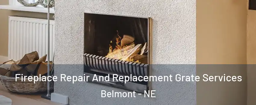 Fireplace Repair And Replacement Grate Services Belmont - NE