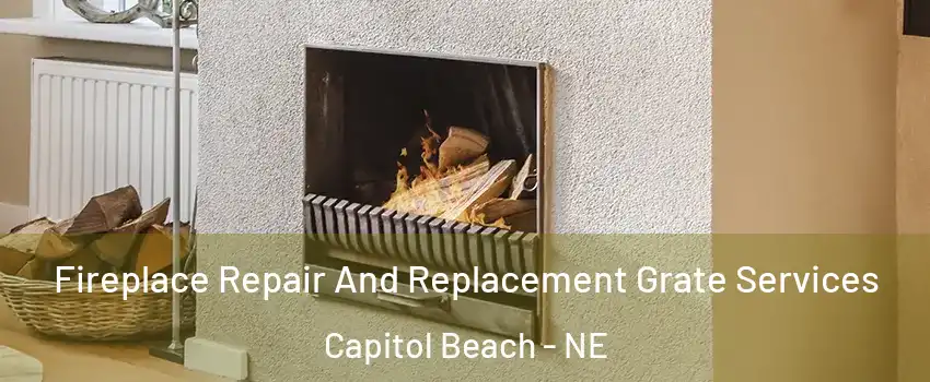 Fireplace Repair And Replacement Grate Services Capitol Beach - NE