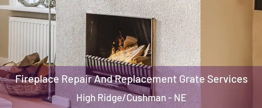 Fireplace Repair And Replacement Grate Services High Ridge/Cushman - NE