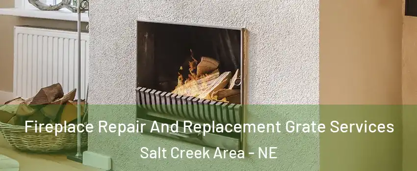 Fireplace Repair And Replacement Grate Services Salt Creek Area - NE