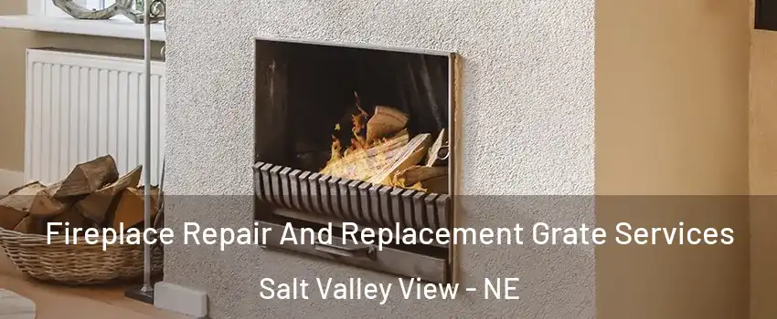 Fireplace Repair And Replacement Grate Services Salt Valley View - NE