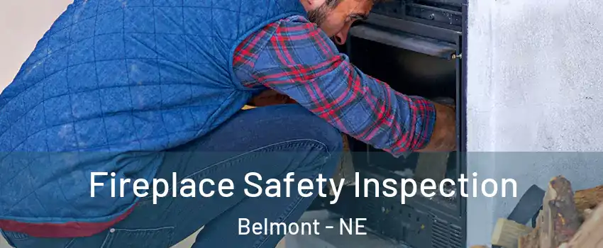 Fireplace Safety Inspection Belmont - NE