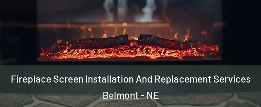 Fireplace Screen Installation And Replacement Services Belmont - NE