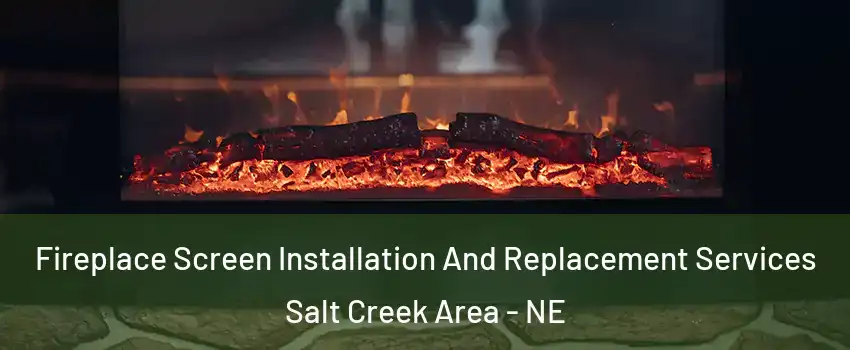 Fireplace Screen Installation And Replacement Services Salt Creek Area - NE