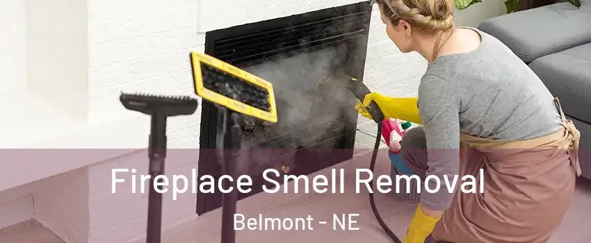 Fireplace Smell Removal Belmont - NE