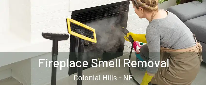 Fireplace Smell Removal Colonial Hills - NE