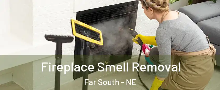 Fireplace Smell Removal Far South - NE