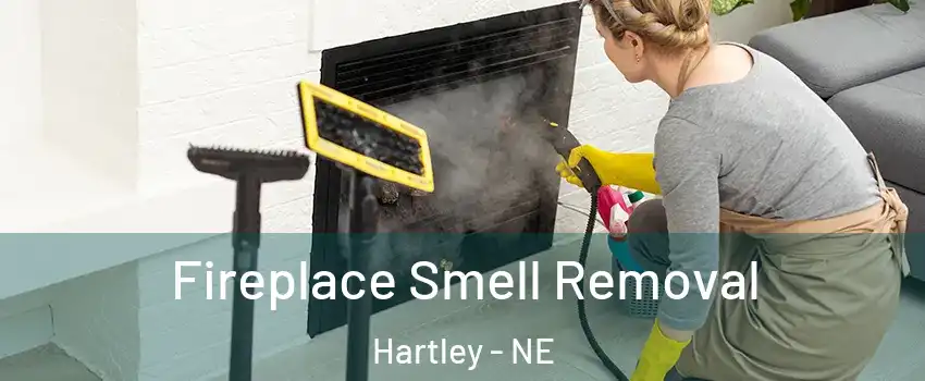 Fireplace Smell Removal Hartley - NE