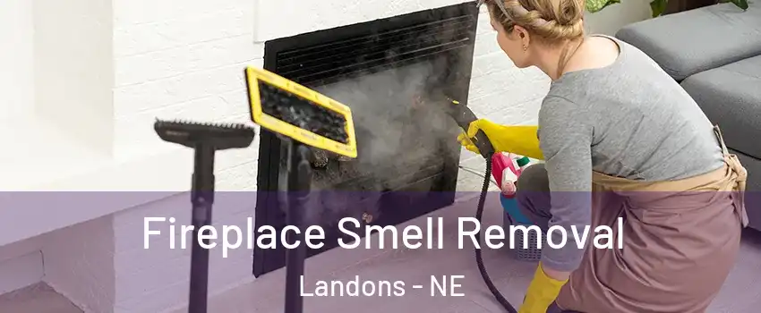 Fireplace Smell Removal Landons - NE