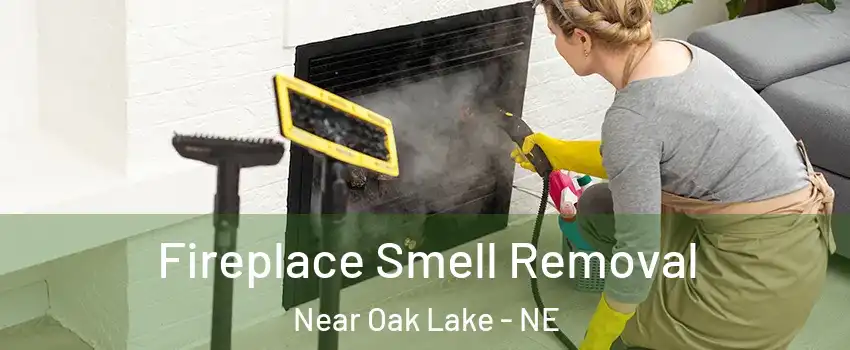 Fireplace Smell Removal Near Oak Lake - NE