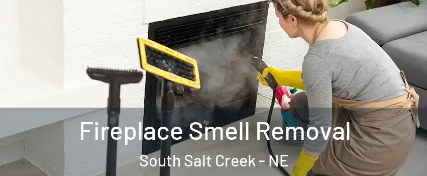 Fireplace Smell Removal South Salt Creek - NE