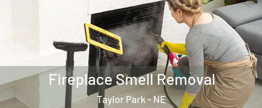 Fireplace Smell Removal Taylor Park - NE