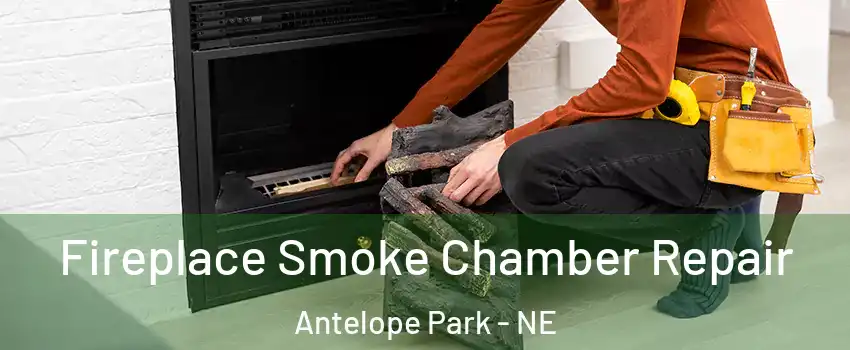 Fireplace Smoke Chamber Repair Antelope Park - NE