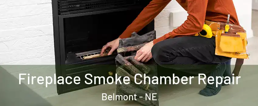 Fireplace Smoke Chamber Repair Belmont - NE