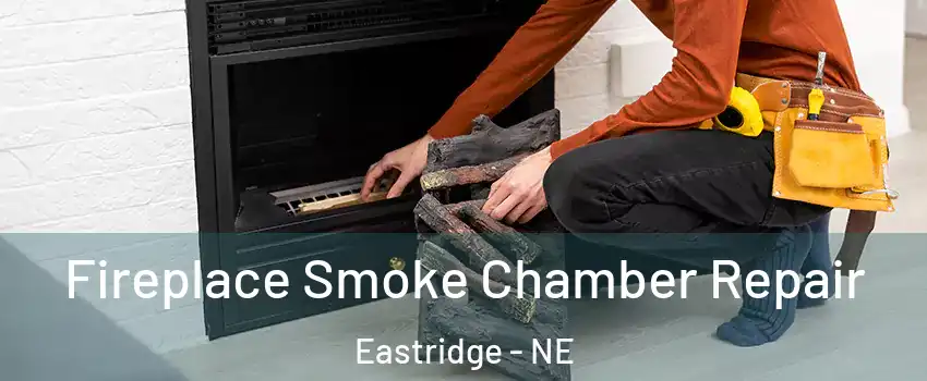 Fireplace Smoke Chamber Repair Eastridge - NE