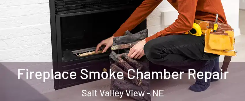 Fireplace Smoke Chamber Repair Salt Valley View - NE