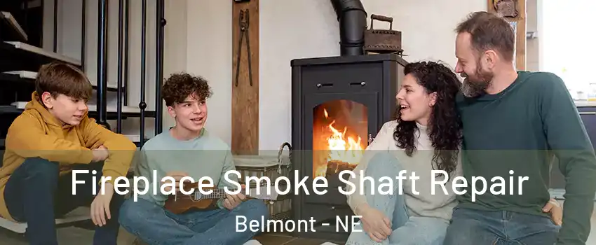 Fireplace Smoke Shaft Repair Belmont - NE