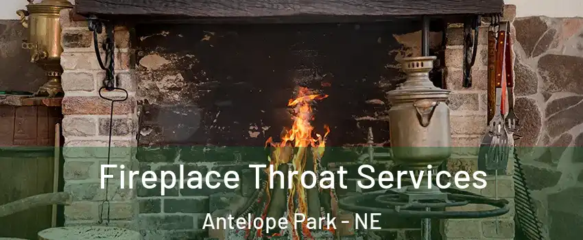 Fireplace Throat Services Antelope Park - NE