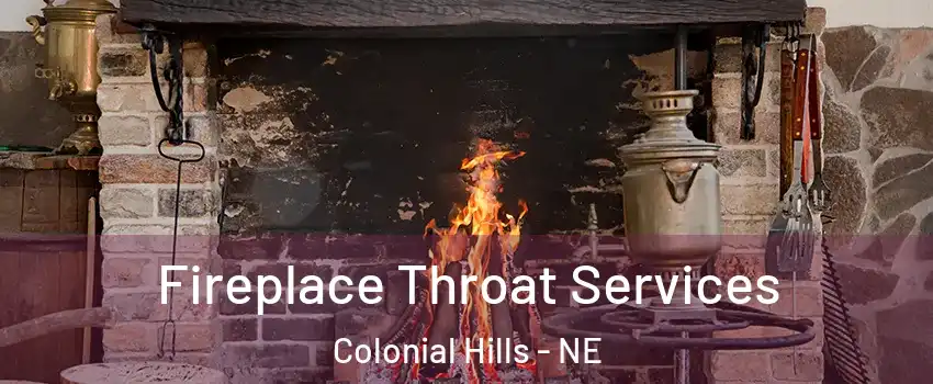 Fireplace Throat Services Colonial Hills - NE