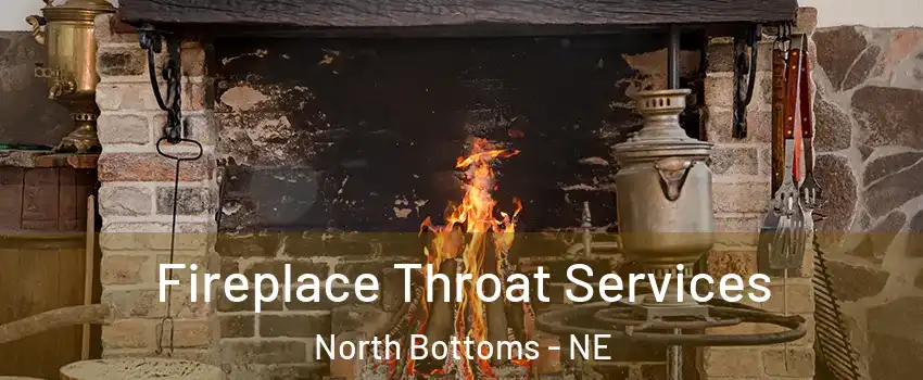 Fireplace Throat Services North Bottoms - NE