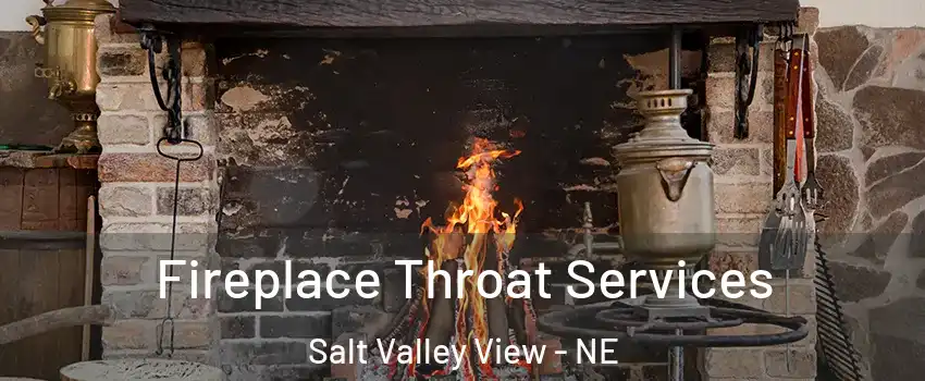 Fireplace Throat Services Salt Valley View - NE