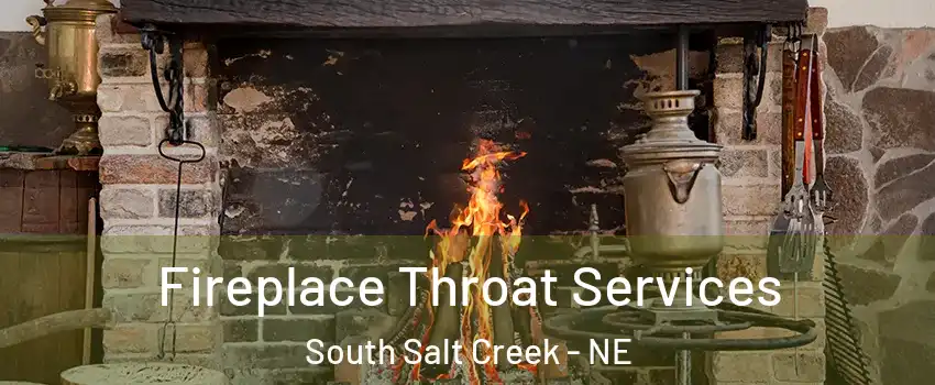 Fireplace Throat Services South Salt Creek - NE