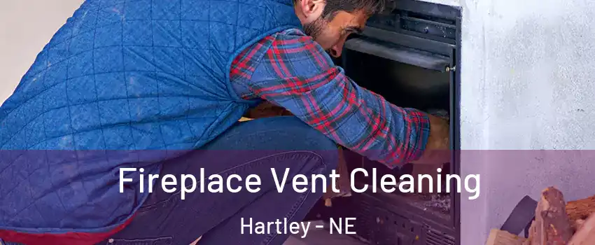 Fireplace Vent Cleaning Hartley - NE