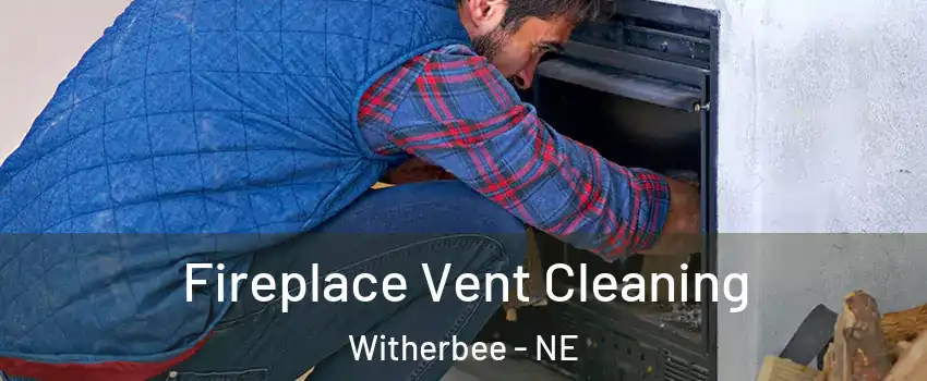 Fireplace Vent Cleaning Witherbee - NE