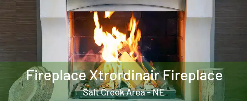 Fireplace Xtrordinair Fireplace Salt Creek Area - NE