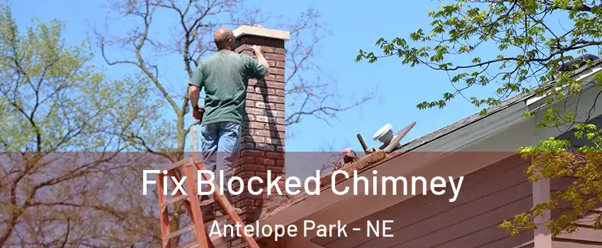 Fix Blocked Chimney Antelope Park - NE