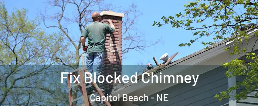 Fix Blocked Chimney Capitol Beach - NE