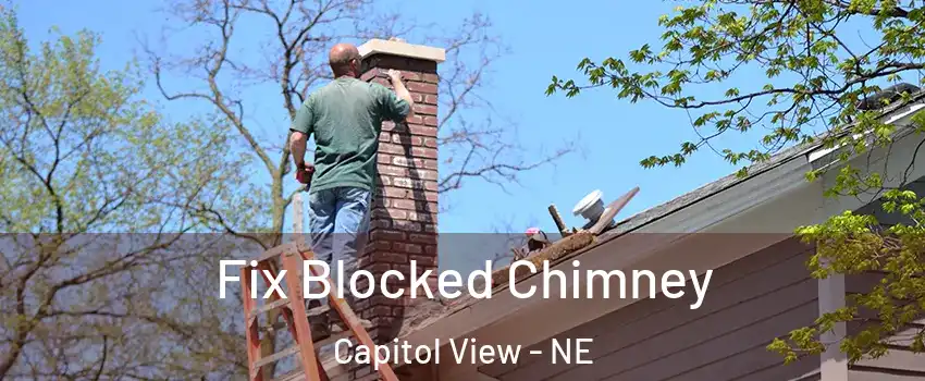 Fix Blocked Chimney Capitol View - NE