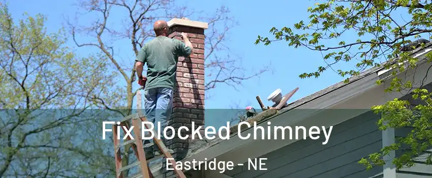 Fix Blocked Chimney Eastridge - NE