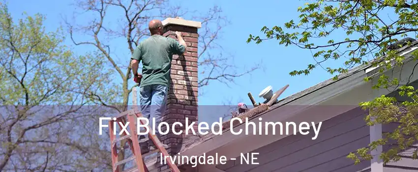 Fix Blocked Chimney Irvingdale - NE