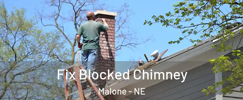 Fix Blocked Chimney Malone - NE