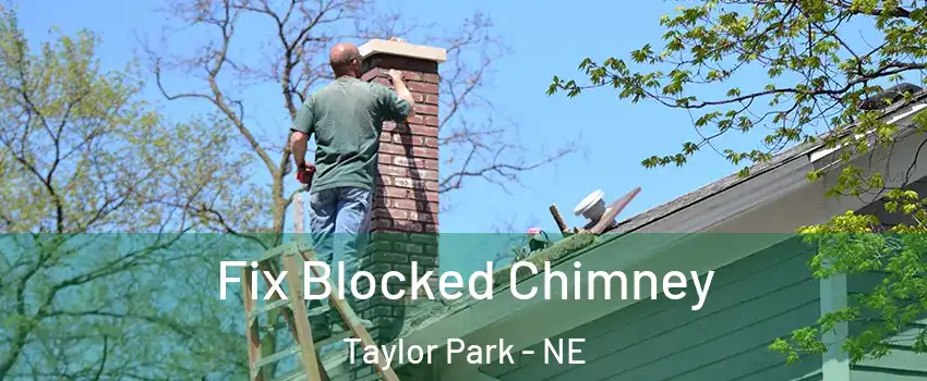 Fix Blocked Chimney Taylor Park - NE