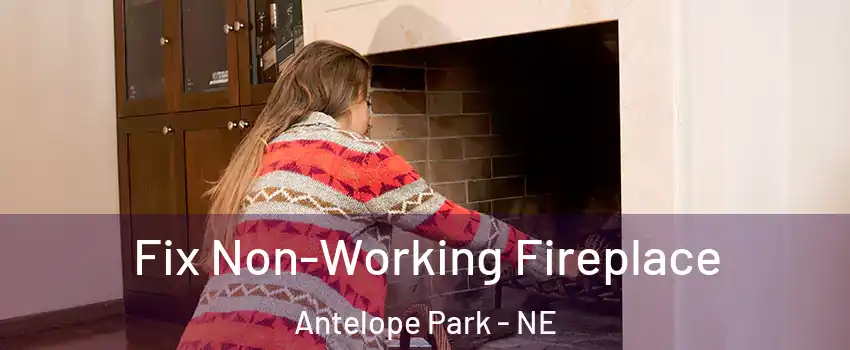 Fix Non-Working Fireplace Antelope Park - NE