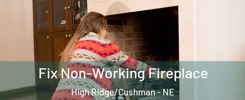 Fix Non-Working Fireplace High Ridge/Cushman - NE