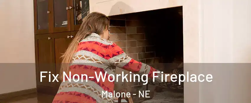 Fix Non-Working Fireplace Malone - NE