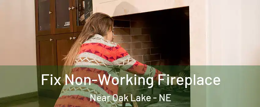 Fix Non-Working Fireplace Near Oak Lake - NE